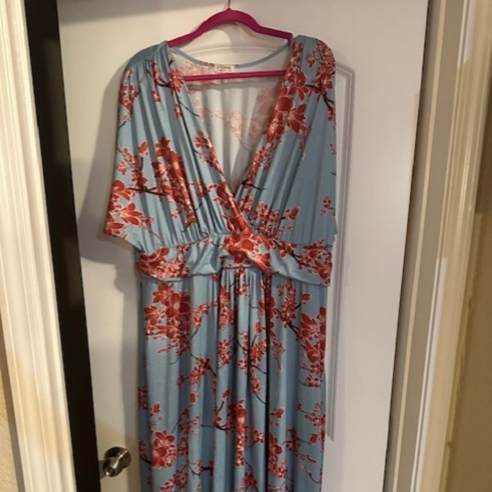 Kiyonna Teal Floral dress